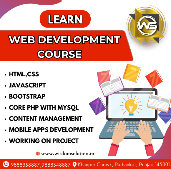 Professional Web Development Company in Pathankot